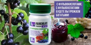 С фульвокислотами, с фульвохелатами будете вы урожаем богатыми!