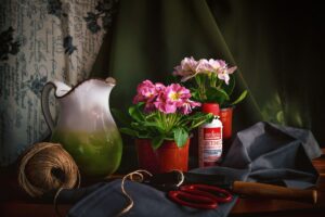 подкормка для садовых цветов