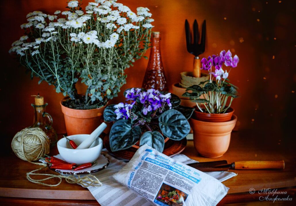 Как улучшить состояние почвы