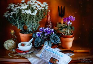 Как улучшить состояние почвы