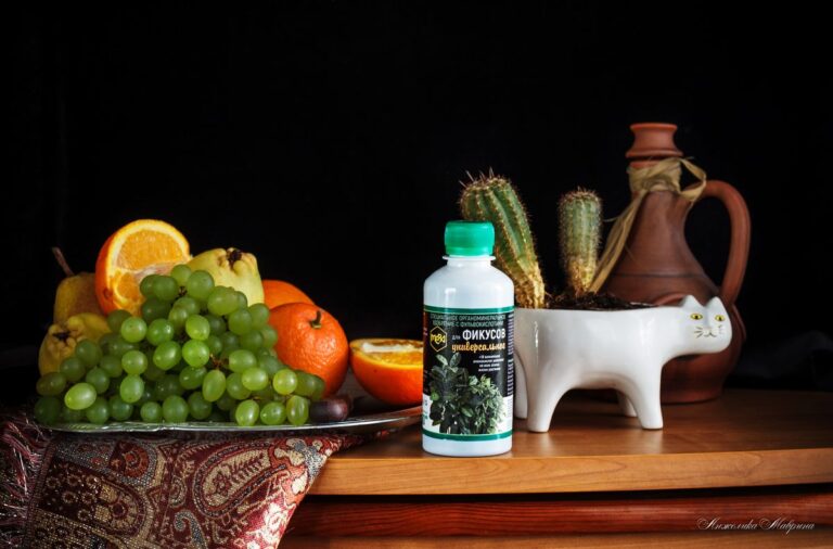 домашнее удобрение для фикуса