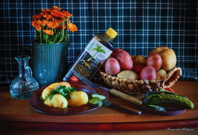 Фульвокислоты – ключ к здоровью растений: раскрываем секреты природной силы