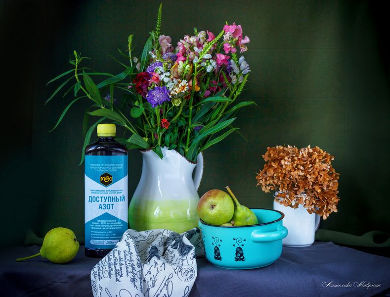 Ухаживаем за газоном с осени по весну