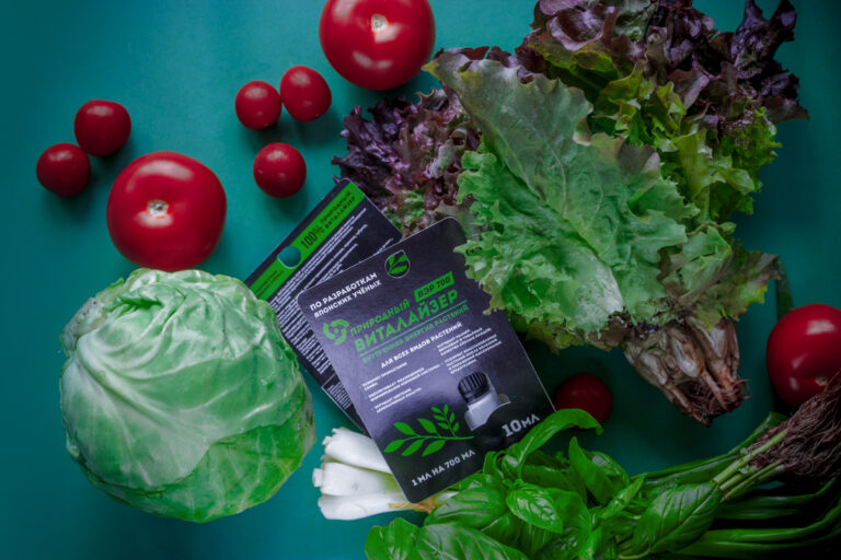 Советы по посадке и уходу за яблонями осенью на садовом участке