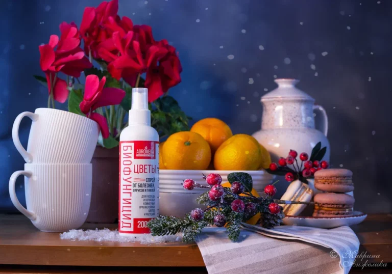 Как зимой ухаживать за луковичными цветами Как зимой ухаживать за луковичными цветами