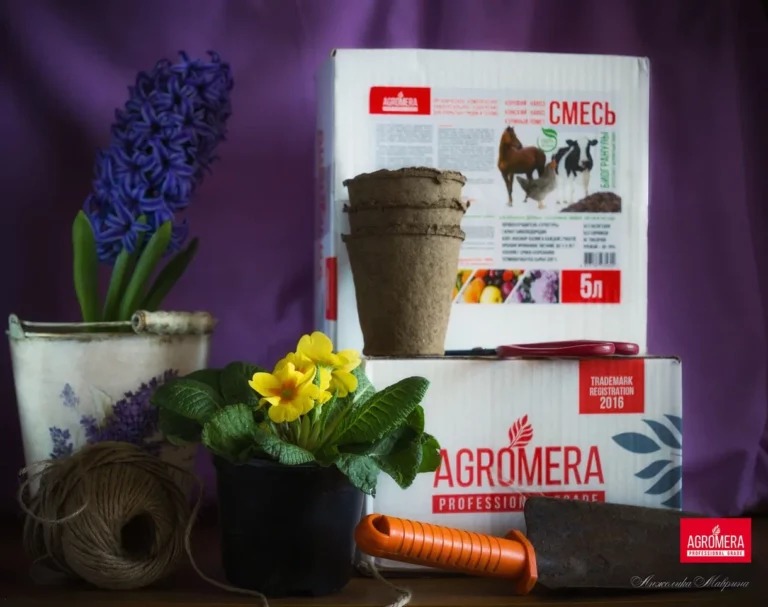 Подкормка плодовых деревьев в марте-апреле для хорошего урожая Подкормка плодовых деревьев в марте-апреле для хорошего урожая